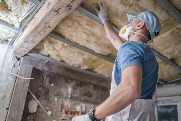 Types of Insulation We Offer in Lexington, WA